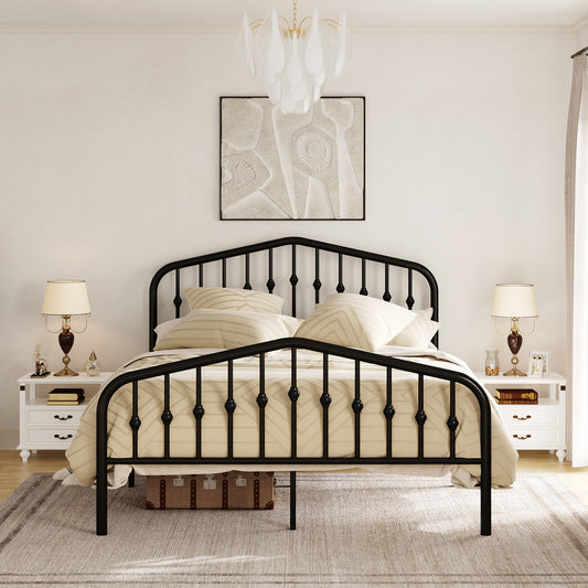 Queen Size Metal Bed Frame with Delicate Headboard and Footboard, Black
